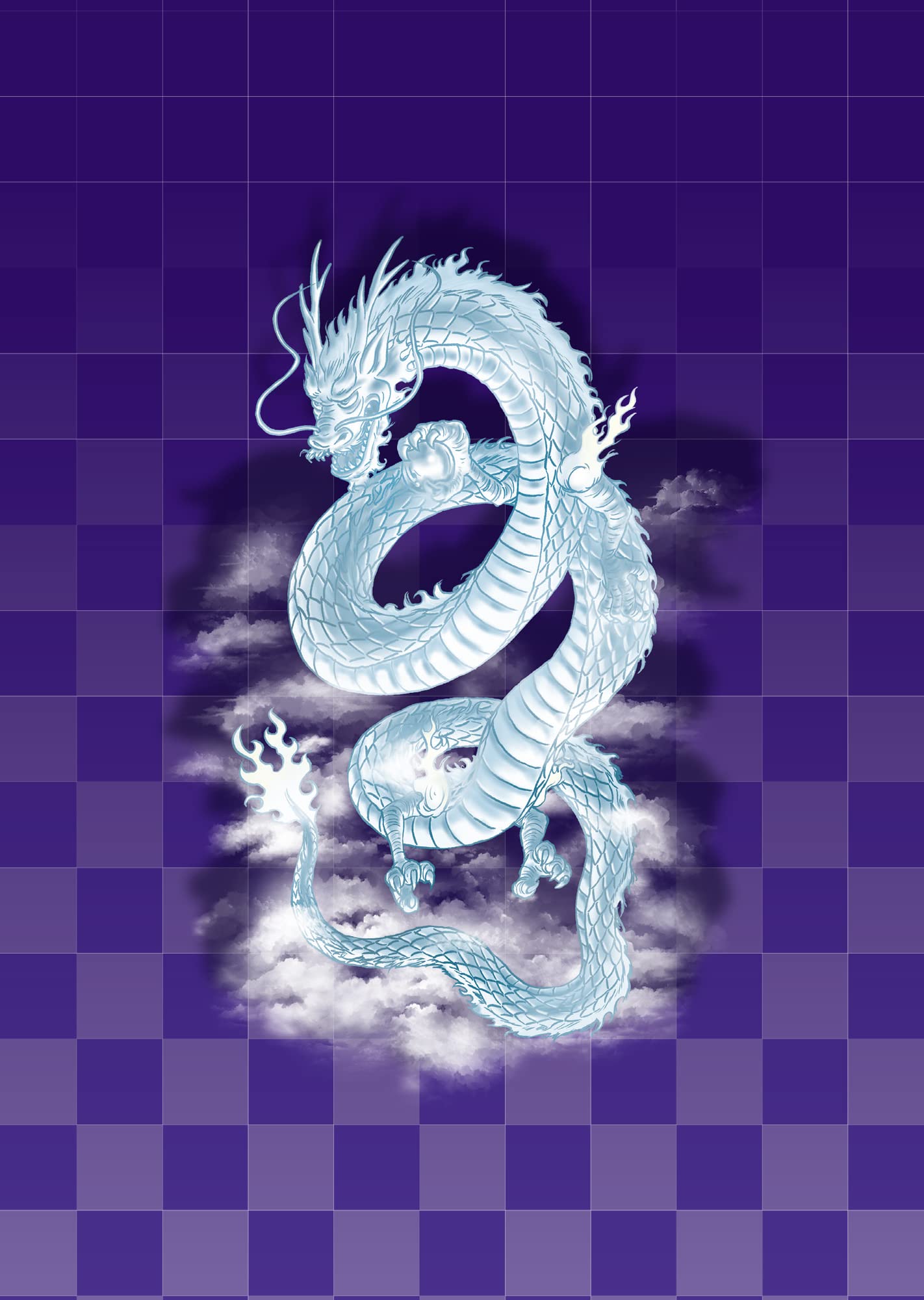 Amazon.co.jp: 開運御朱印帳 翔龍（大判） ([バラエティ]) : なし: 本